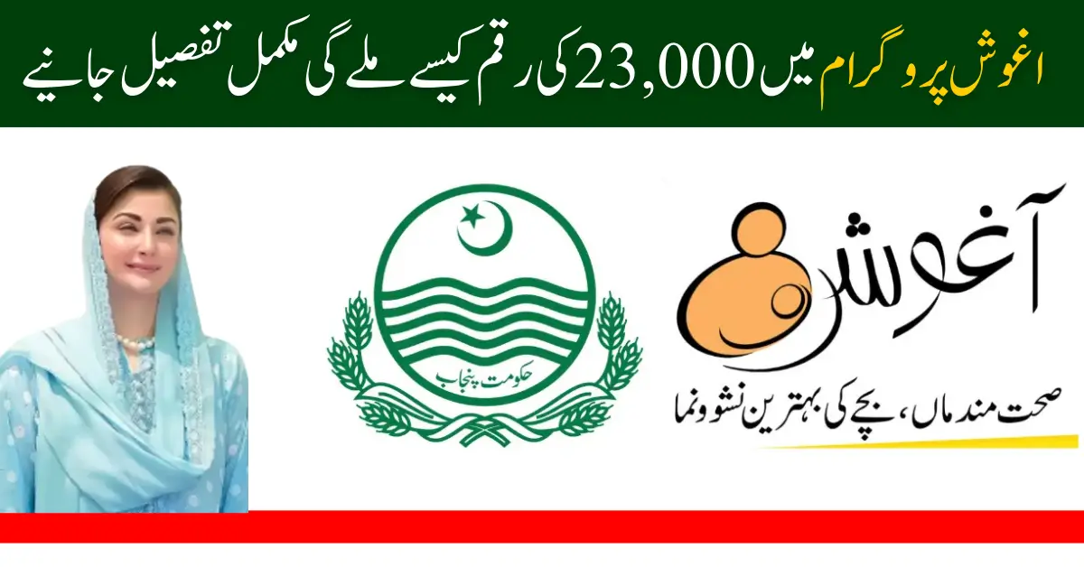 CM Punjab Aghosh Program 2025 Supporting Mothers and Babies for a Better Future