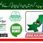 CM Punjab Honhaar Scholarship 2025