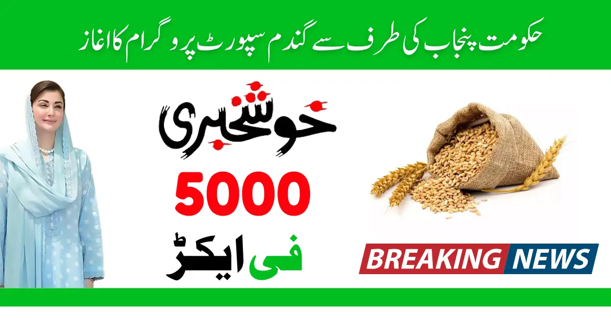CM Punjab Wheat Support Scheme 2025