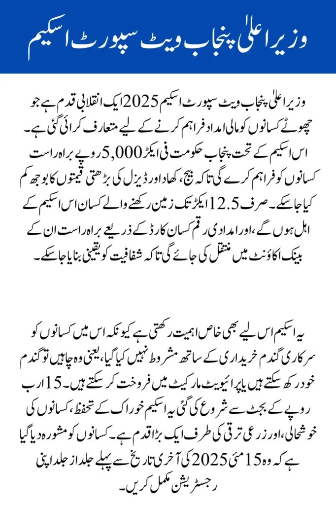 CM Punjab Wheat Support Scheme 2025 A Lifeline for Small Farmers