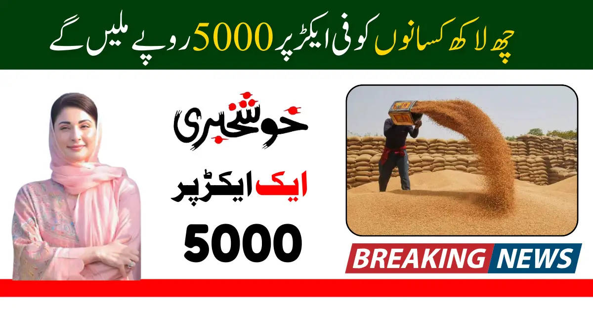 Punjab Wheat Subsidy 2025